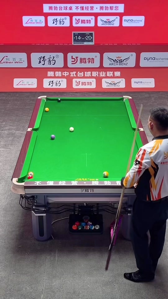 和多样化的 和多样化的