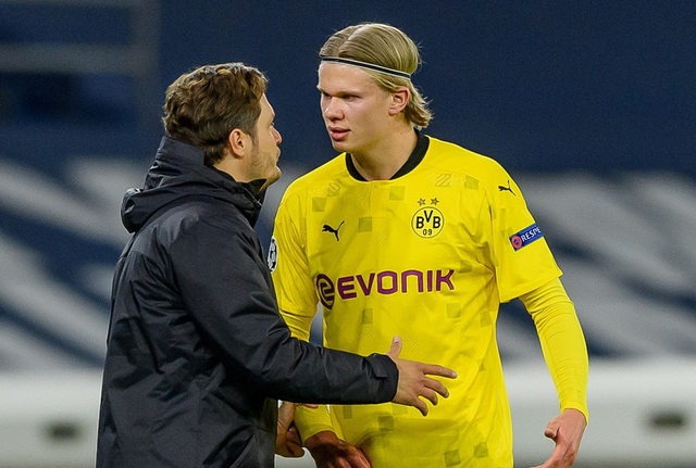 罕见的团队 罕见的团队